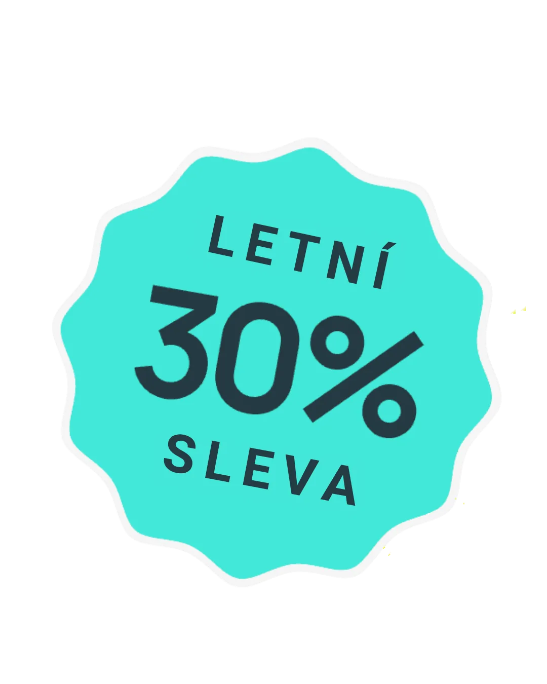 Letní sleva 30 % na servis oken